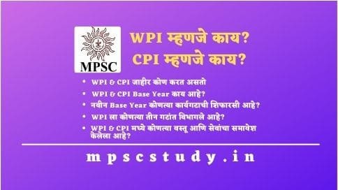 What Is WPI & CPI In Marathi